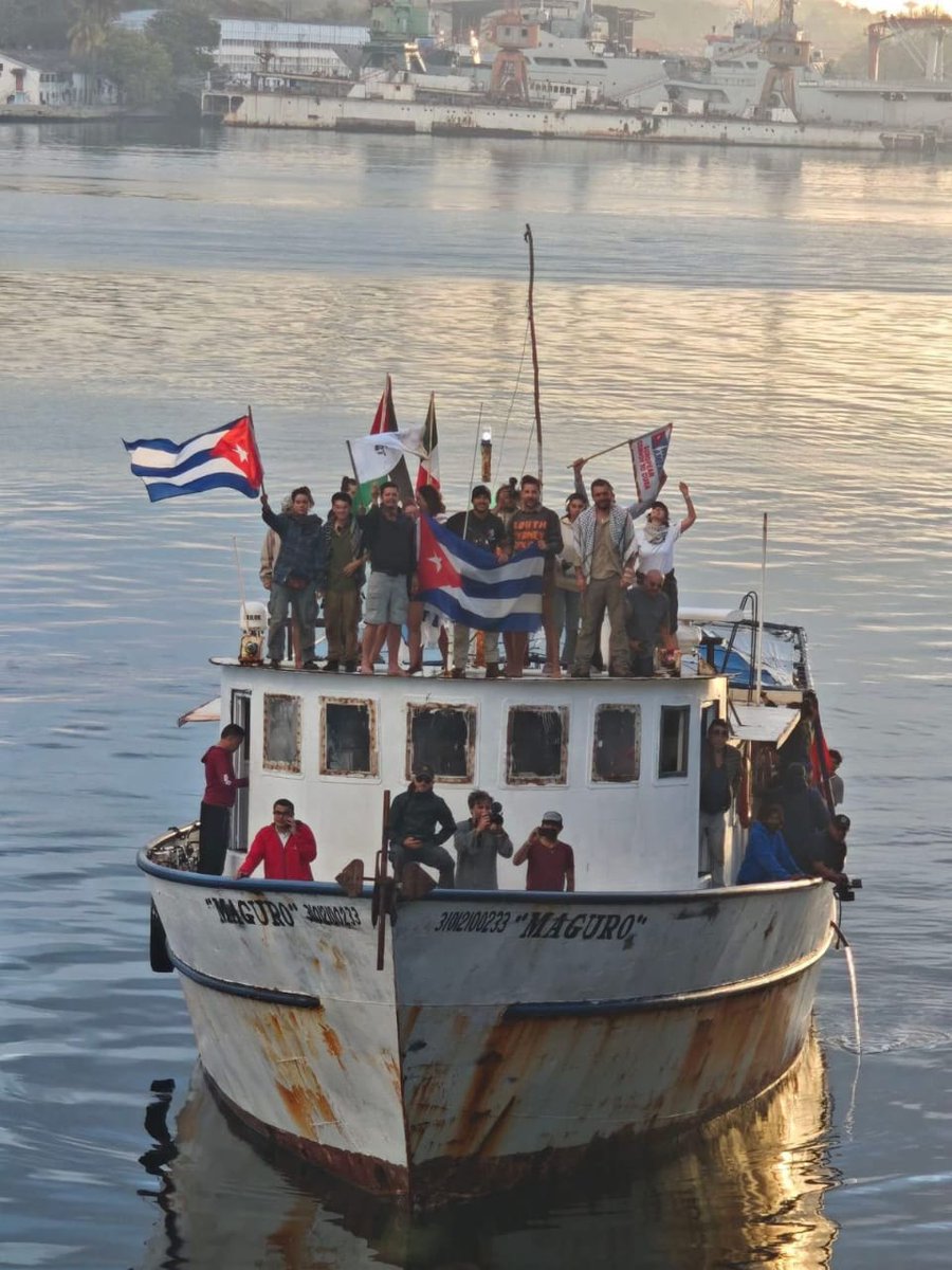 🌷🌸🌷Moraima 🇨🇺 tweet media