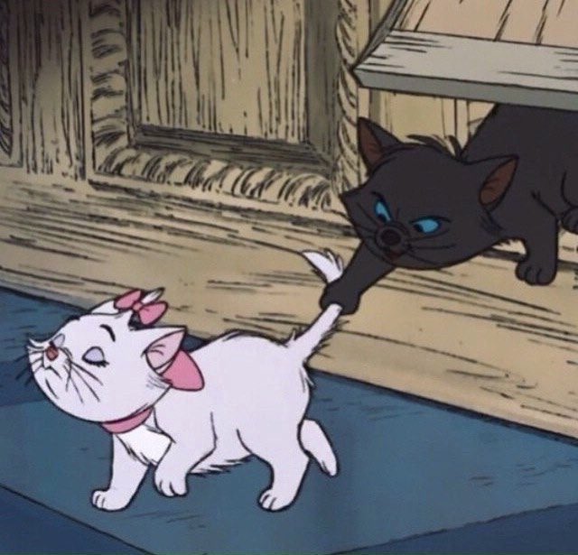 тrіρℓe ʲ ⁺◟✿ อุนยายมิ้วน้อย🐱ˎˊ˗ tweet media