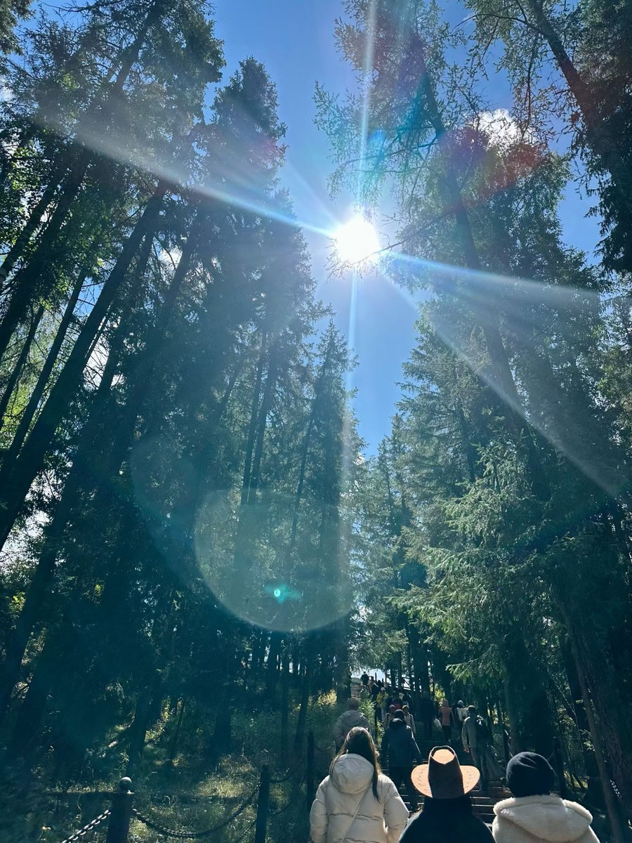 LaserCat397.eth tweet media