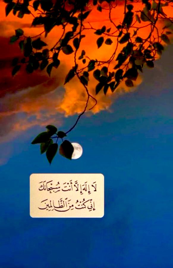 ‏☆خالد kalid السنجاري الشمرى☆‏🇸🇦‏☆💫حائل💫☆ tweet media