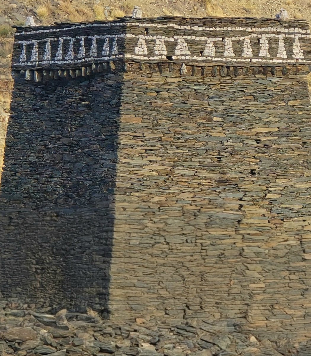 مسفر العدواني tweet media