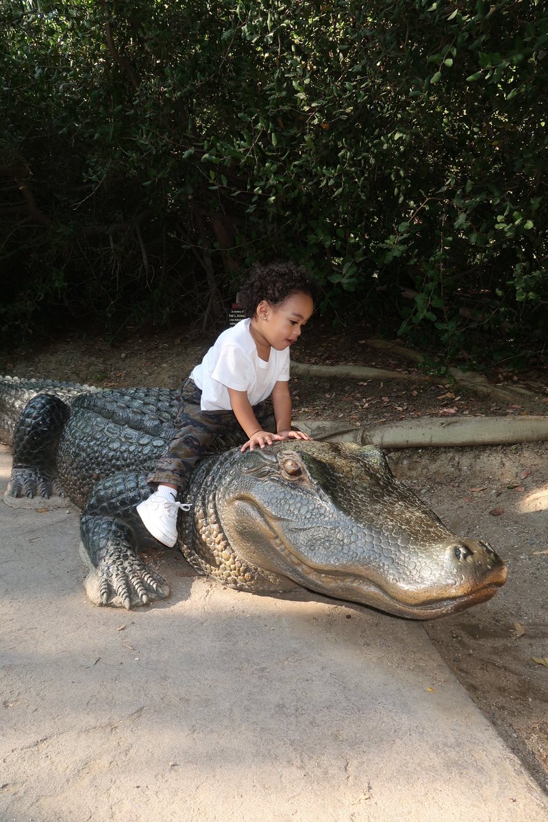 BAGGIO🥀 tweet media