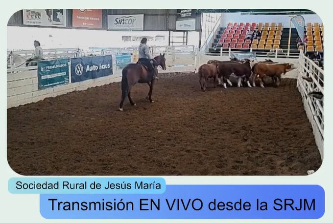 Campo Directo tweet media