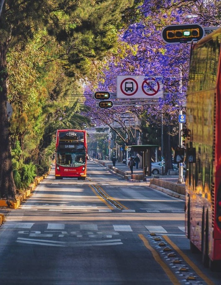 𝙇𝘼𝙏𝘼𝙈 𝘼𝙀𝙎𝙏𝙃𝙀𝙏𝙄𝘾 ✨🦜 tweet media