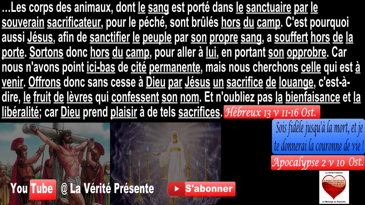 VeritePresente's tweet photo. #Tribulation de #Jésus-Christ = {#Souffrances de #Christ #Croix #mort #Affliction #Persécution #Épreuve #meurtre #tuerie #prison #captivité #tentation #deuil #faim #soif #larme #maltraité #douleur #ignominie #outrage #opprobre #angoisse #condamnation #nudité #péril #épée #misère} https://t.co/BXVlon6l7w
