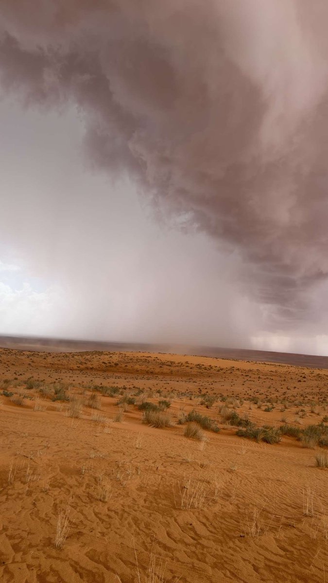 برق الجهمه tweet media