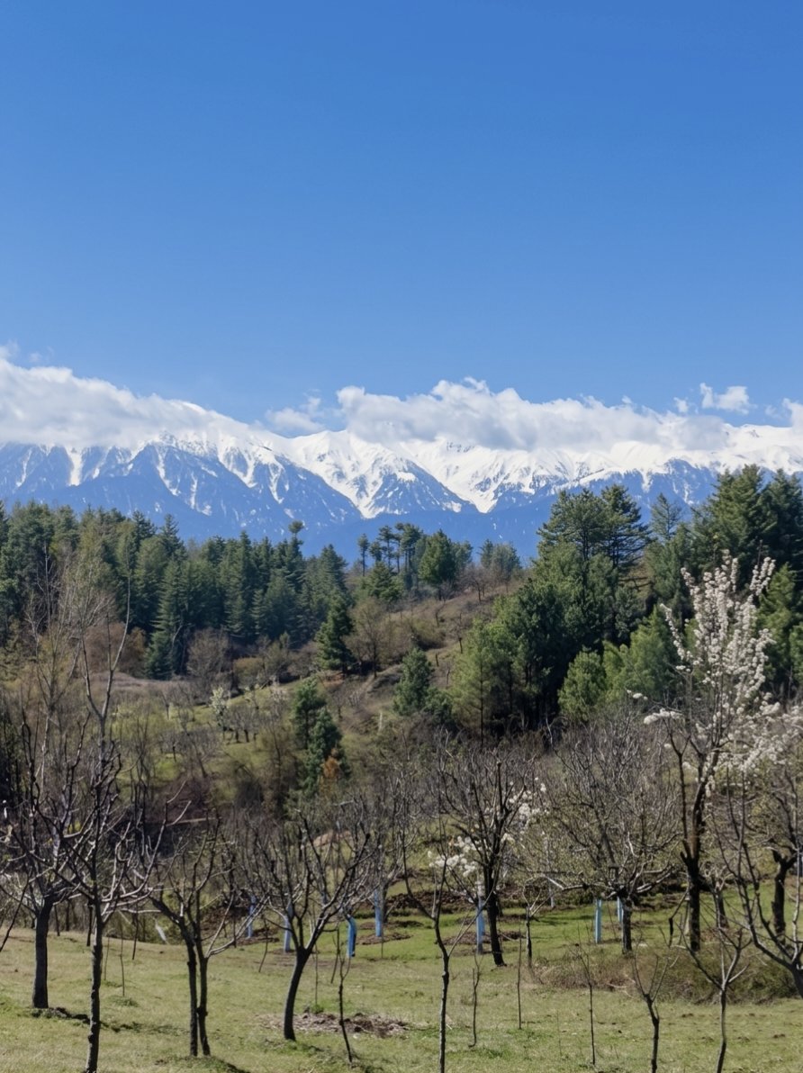 فیضان tweet media