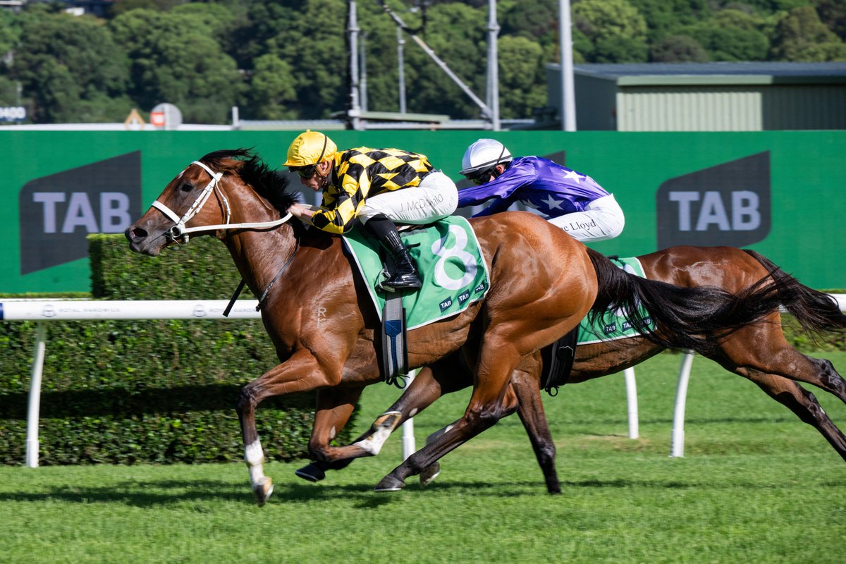 Nick Luck tweet media