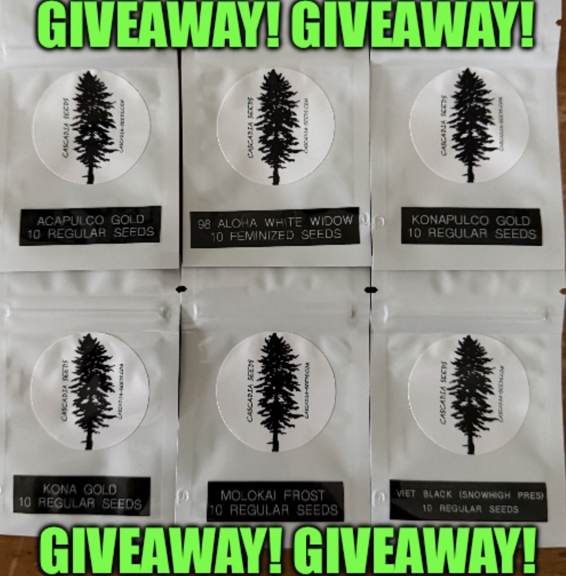 Cascadia Seeds tweet media