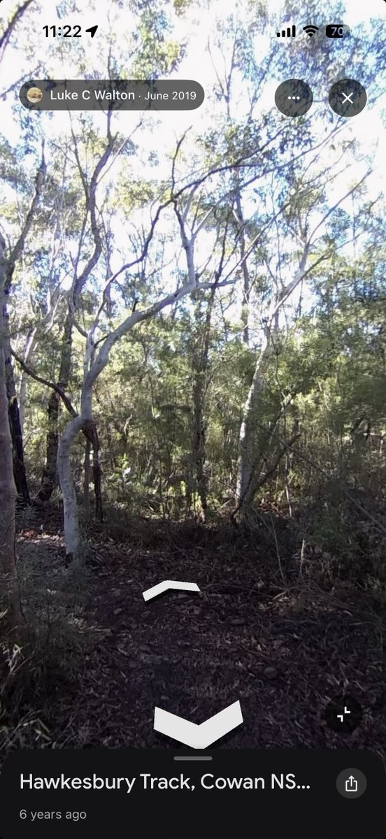 Cloudscore tweet media