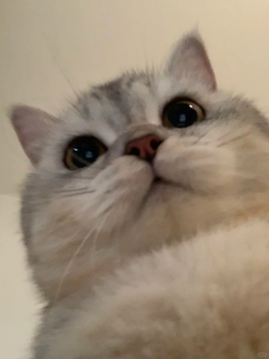 𝑒͟𝑚͟𝑖͟𝑙͟𝑦. tweet media