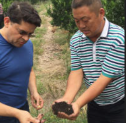 diggersleuth tweet media