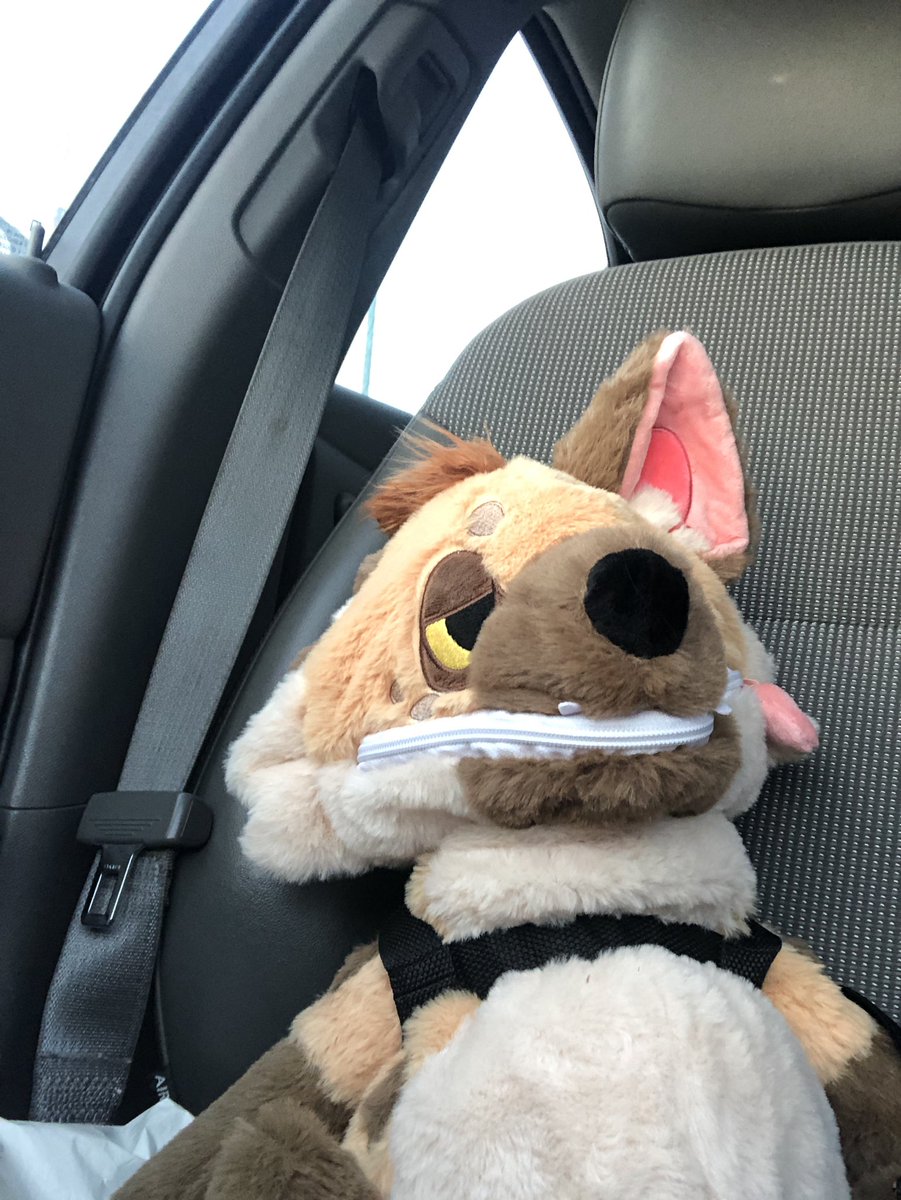 🐾 Hallow-Yeen 🐾 tweet media