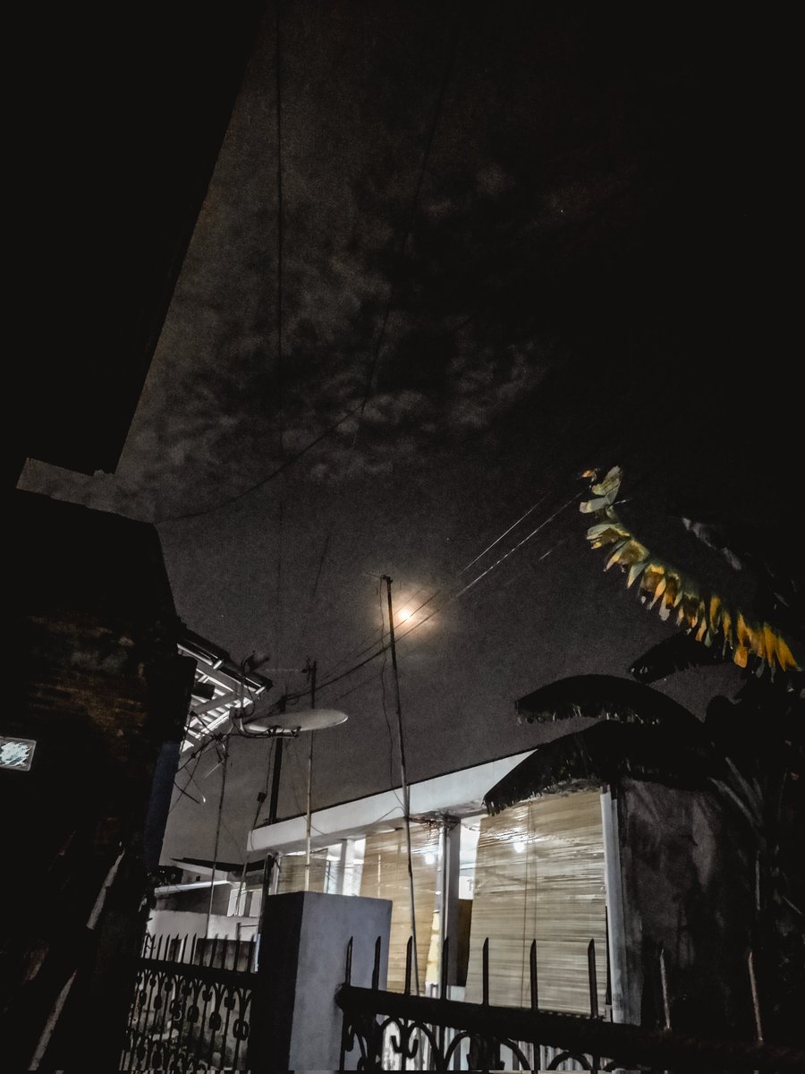 zy.. 🇵🇸 tweet media