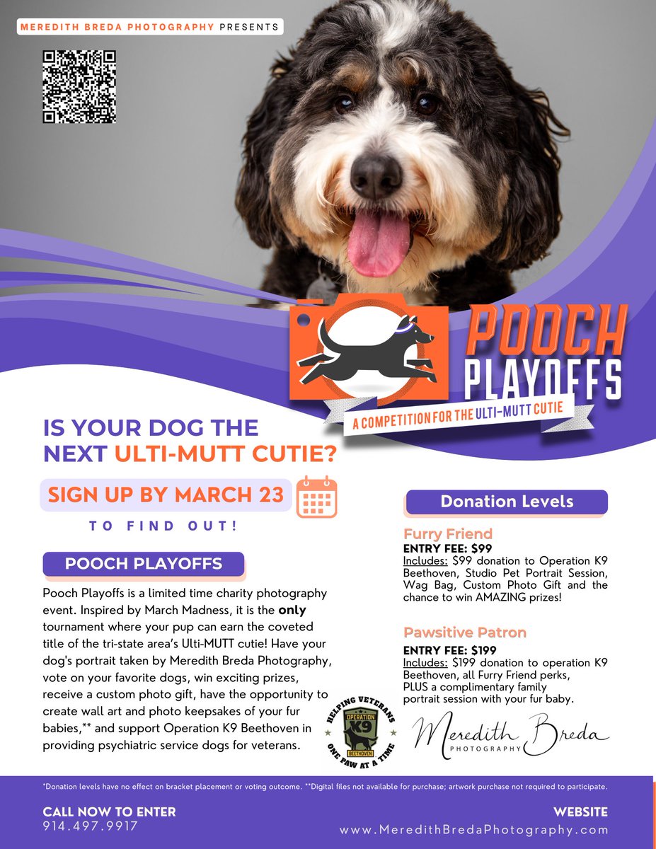 K9Beethoven's tweet photo. 🌸 We are BEYOND grateful. 🌸

The incredibly talented Meredith Breda Photography has chosen Operation K9 Beethoven as the beneficiary of her amazing *Pooch Playoffs* fundraising event — and we are truly honored. 🩷

Meredith’s passion, creativity, and generosity are helping make a real difference in the lives of our veterans and their service dogs. By choosing us as her donation partner, she’s not just capturing beautiful moments, she’s helping us continue our mission of providing life-changing psychiatric service dogs. ❤️🐾

Now it’s your turn to get your pup in on the fun! 📷

🐶 Think your dog has what it takes to be the next *Ulti-MUTT Cutie?*
🎉 Join the *Pooch Playoffs* — a fun, bracket-style photography competition where your furry friend can shine!
📅 Sign up by **March 25**
📸 Includes a professional portrait session, exciting prizes, and so much more — all while supporting a meaningful cause.

What a perfect gift for yourself or a fellow dog lover with beautiful memories of your pup AND support for veterans in need.

From the bottom of our hearts… thank you, Meredith. 🌸

CALL TO ENTER: 914.497.9917

Meredith Breda Photography