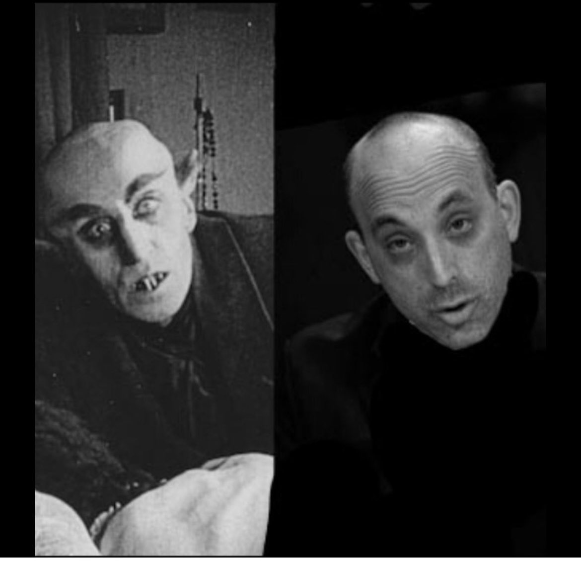 Jake Shields tweet media