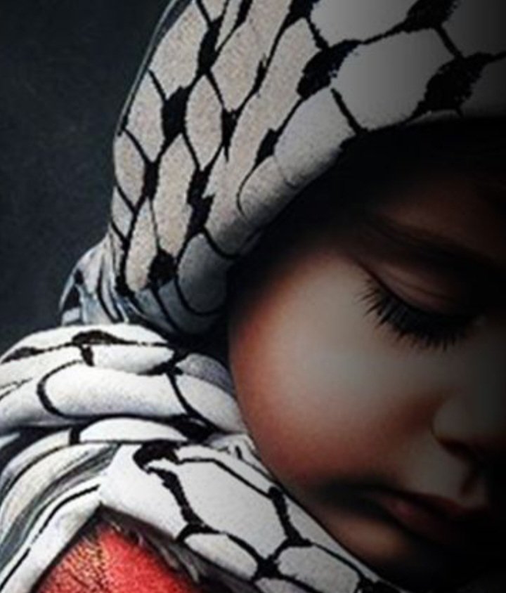 خليل أحمد ألصراري 🇾🇪 tweet media