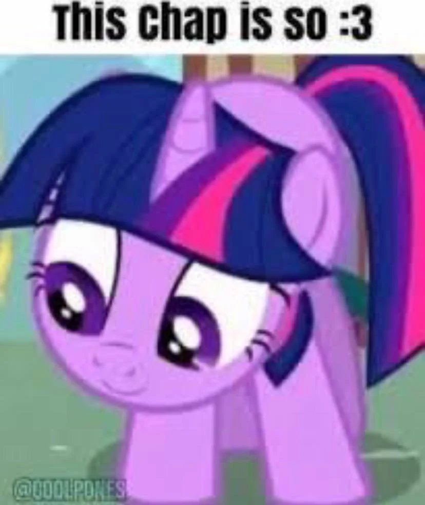 koekonaut tweet media