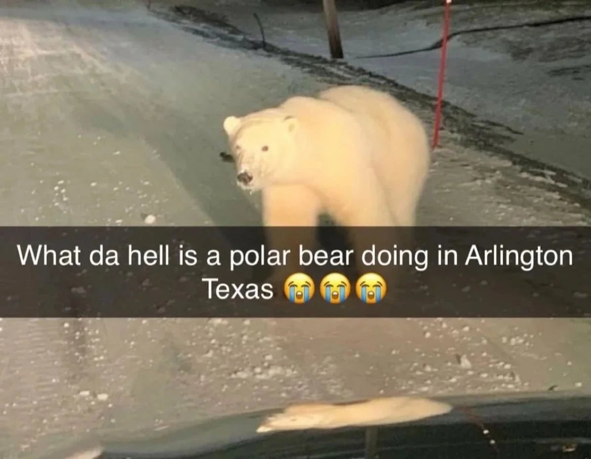 S🅰️nder999 tweet media