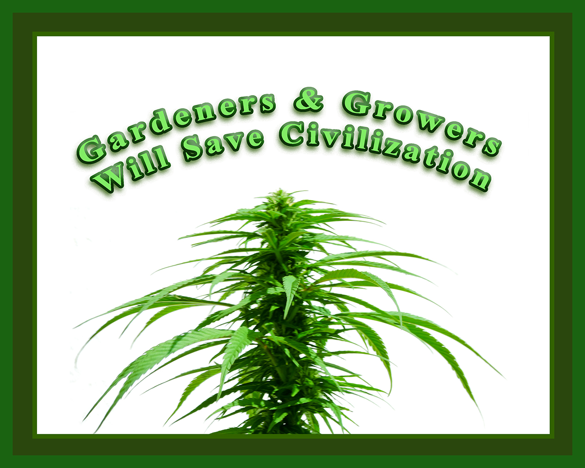 Ric Evoy tweet media