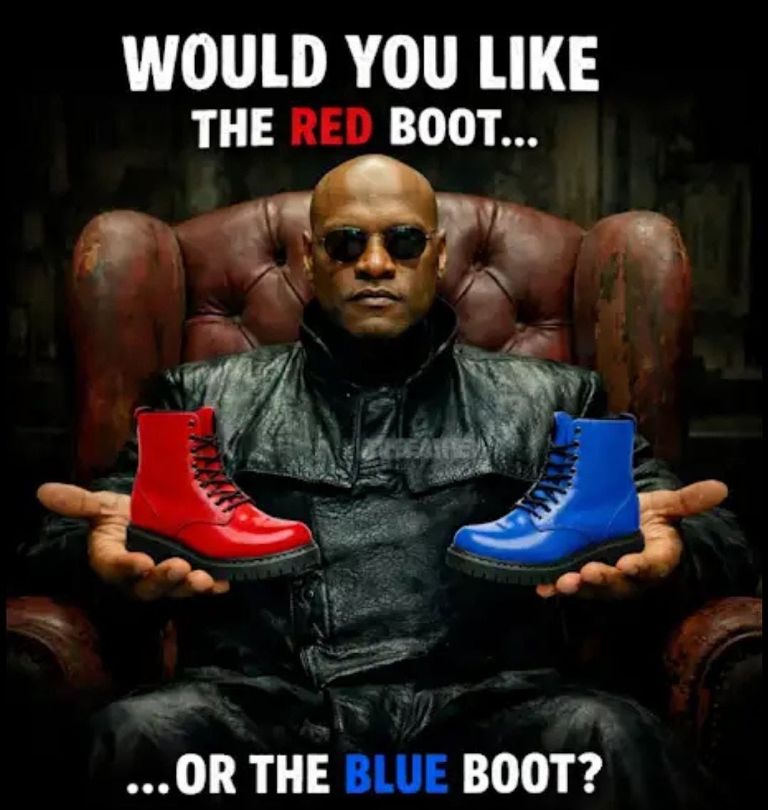 Tim Adams tweet media