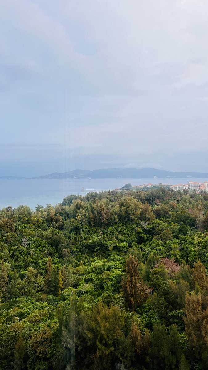 ナミキアキ tweet media