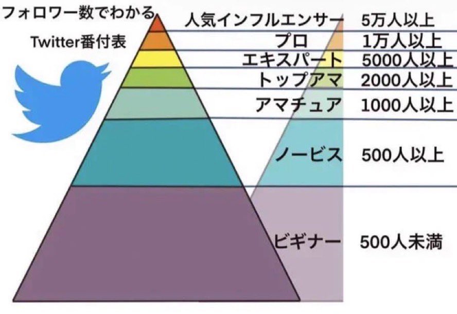 よっぴー😋｜脳科学×心理コーチ｜心が軽くなる習慣🪼 tweet media