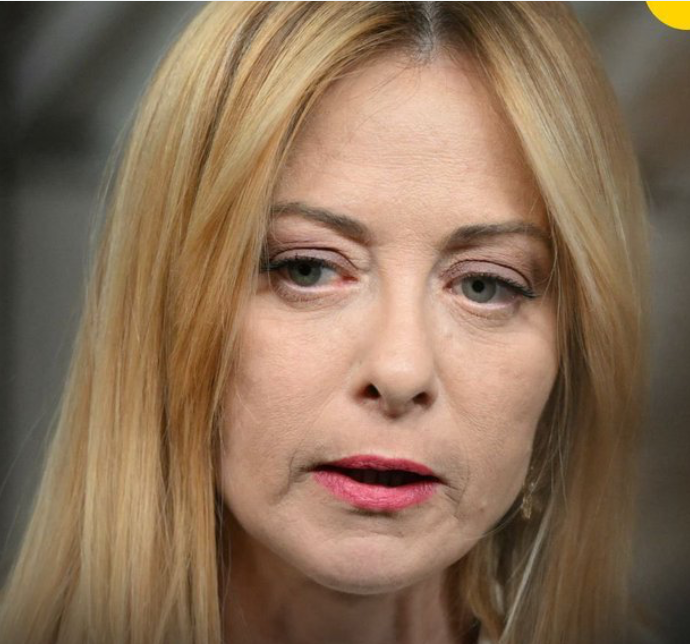 giorgia26 tweet media