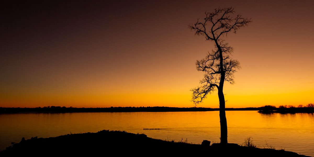 SunsetChüc tweet media