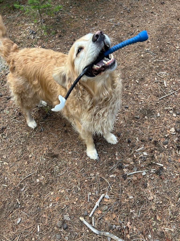 Ryan Mullaney tweet media