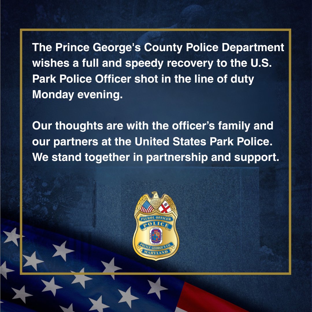 PGPDNEWS tweet media