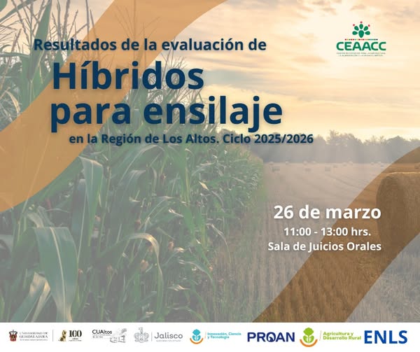 Centro Universitario de Los Altos tweet media