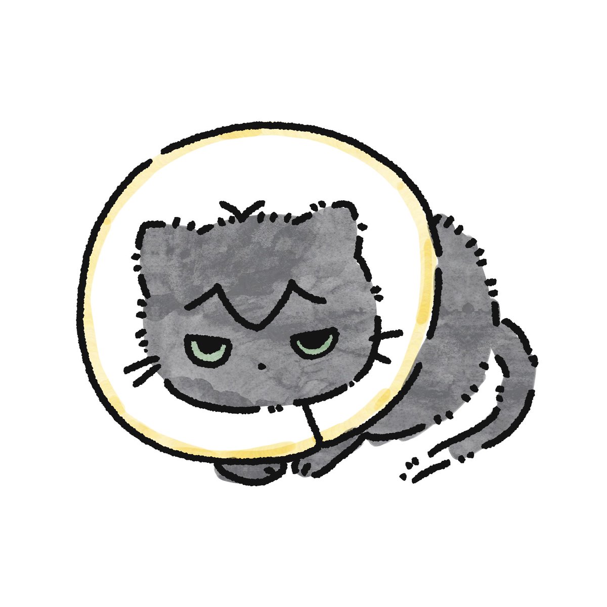 예롱🐰🐥 tweet media