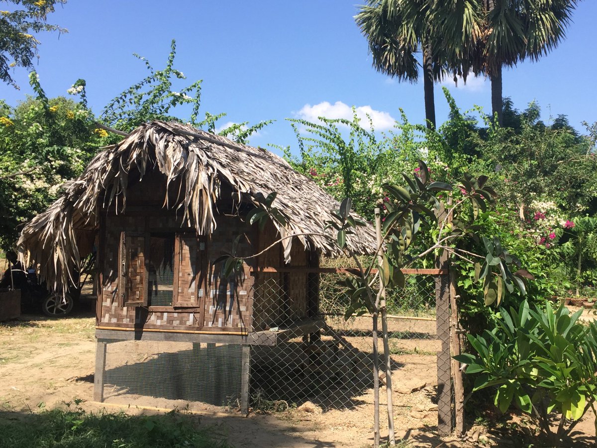 Damon Zumbroegel tweet media