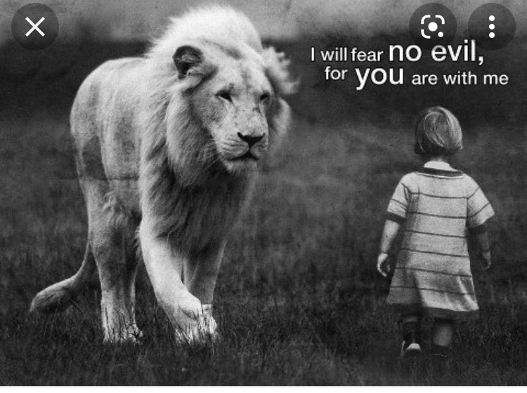 JustLisaP tweet media