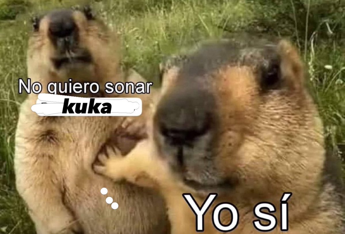 sariu ᵗᵒᵈᵒ ᵖᵃˢᵃ tweet media