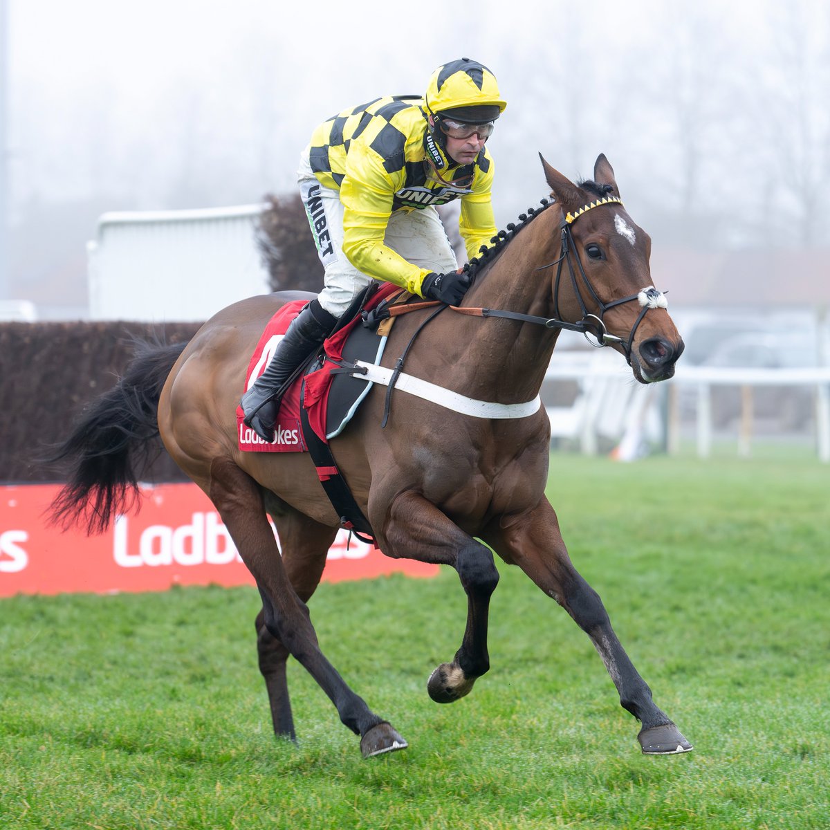 Racing Post tweet media