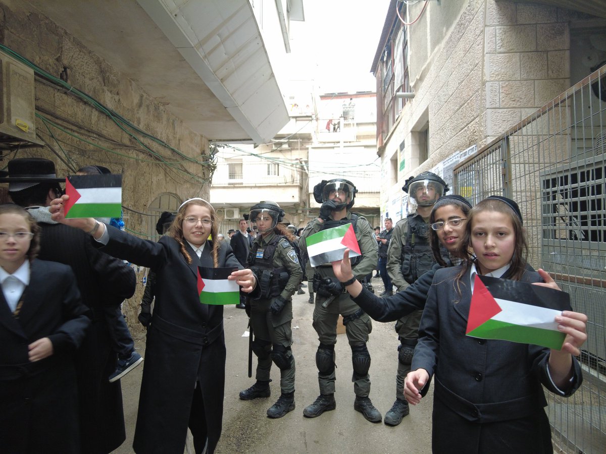 rach💙 🍃 tweet media