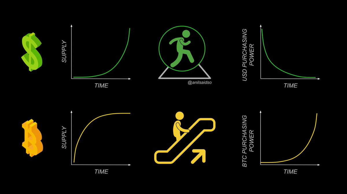 Nolan Martino tweet media