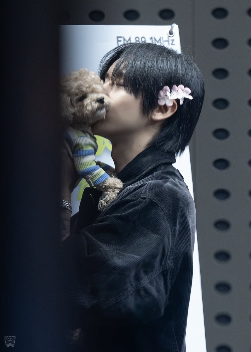 스폰지밥 tweet media