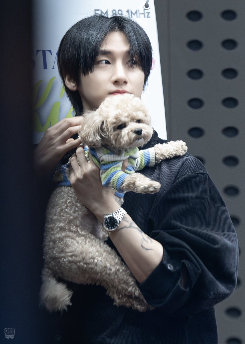 스폰지밥 tweet media