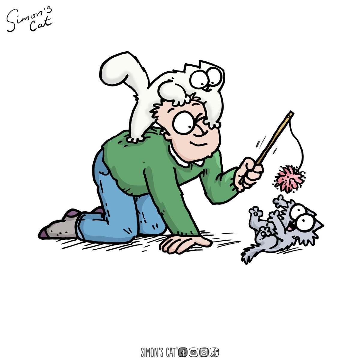 Simon's Cat 🐾 tweet media