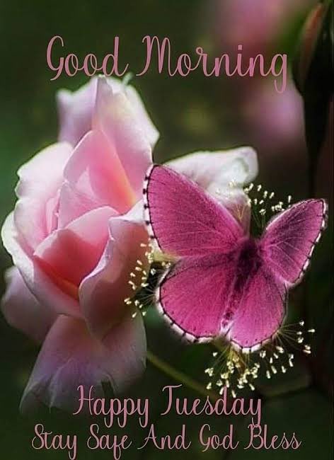 ✭ ✭ THE LuLuBama_Cowboys✭ ✭ ✭ tweet media