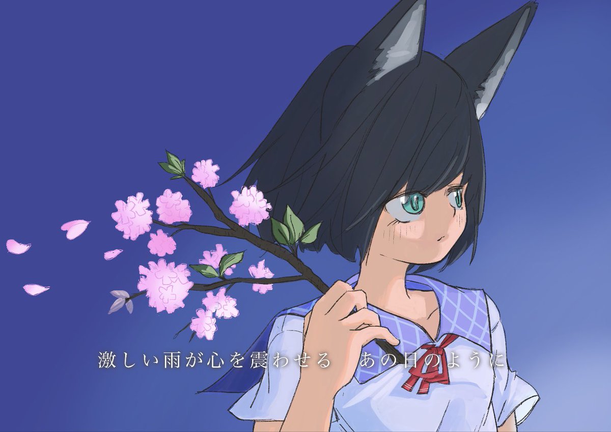 ひすけ🐈‍⬛ tweet media