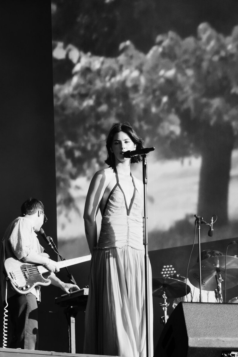 charlie 🚩 tweet media