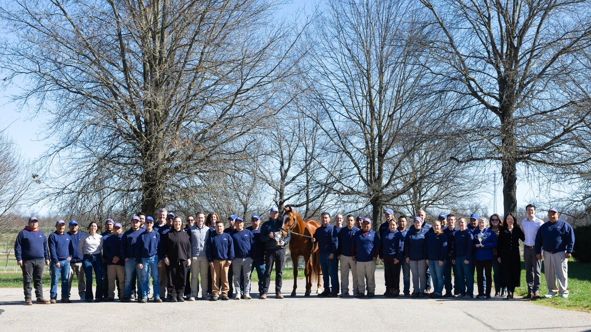 Pin Oak Stud tweet media