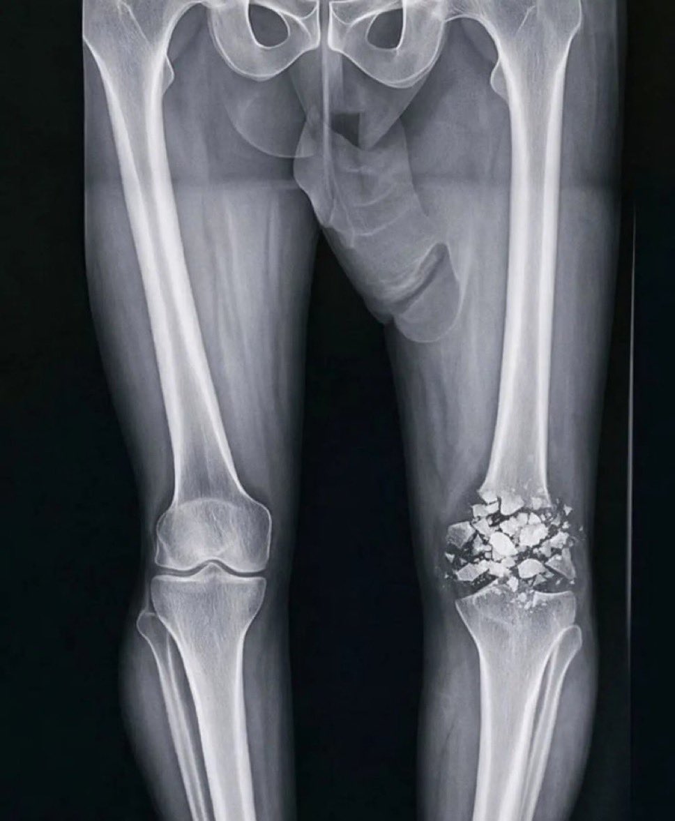 Lake Boss 🚤🐟🐕‍🦺🇺🇸 tweet media