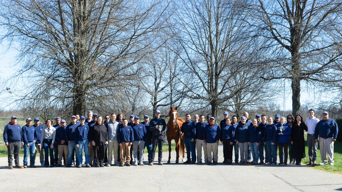 Pin Oak Stud tweet media