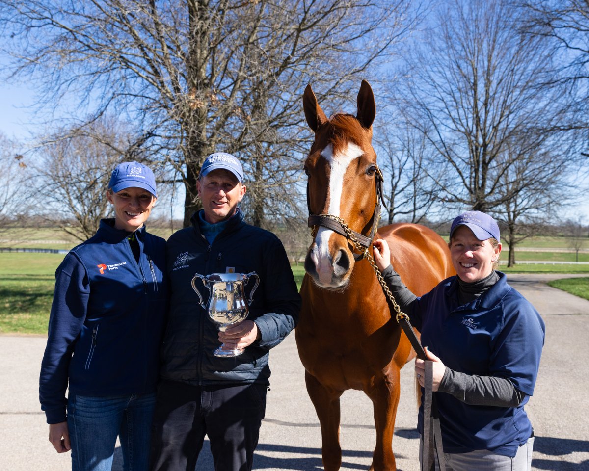 Pin Oak Stud tweet media