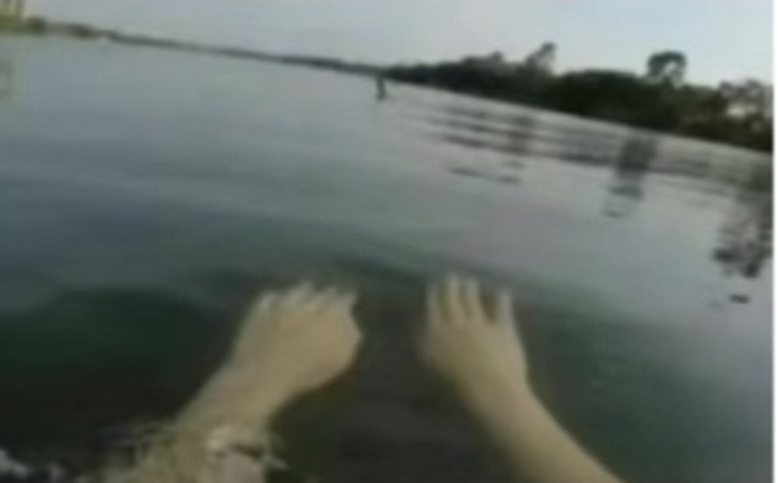 pond hag tweet media